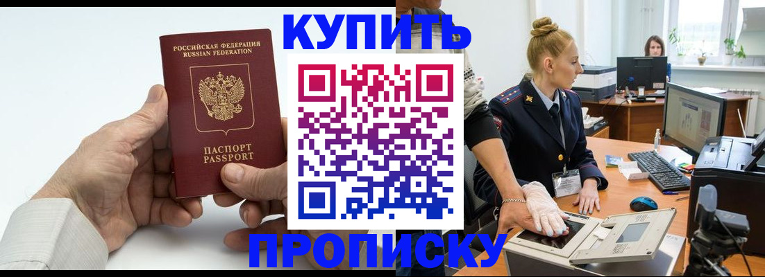 временная регистрация поиск в Курчалом